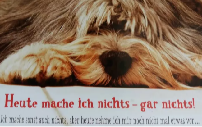 DER FAULENZER