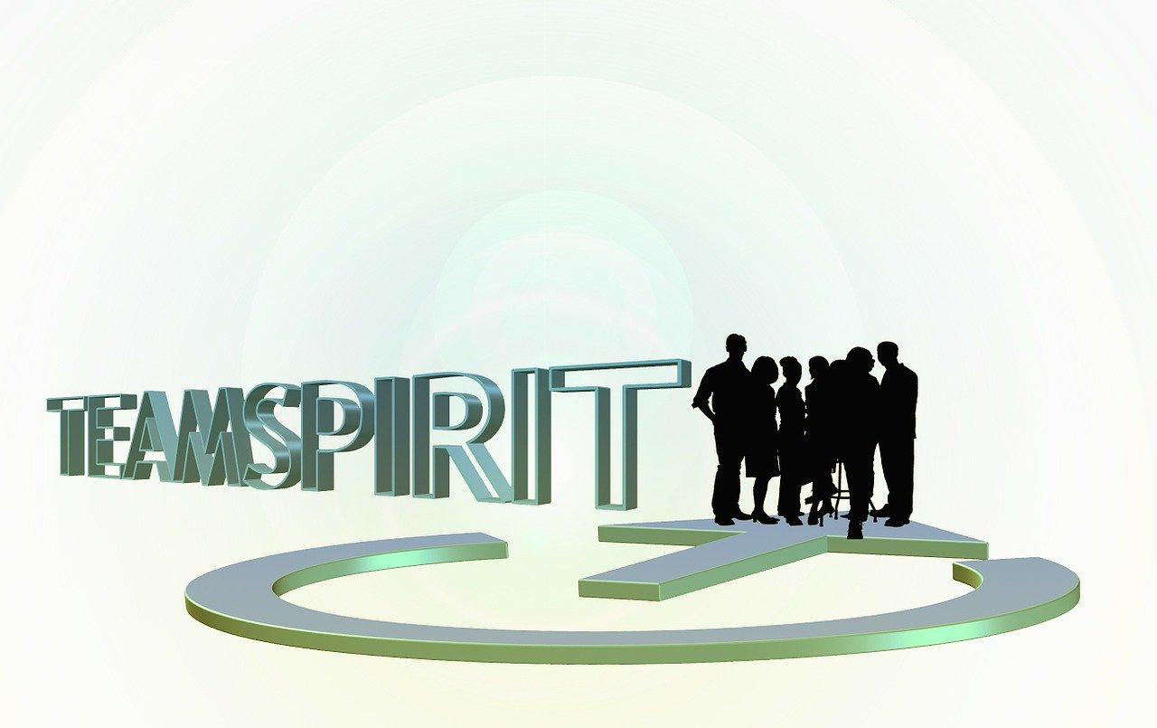 Partner , webmarketing-solution.expert